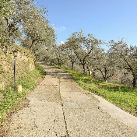 Lavandaia Toscana Tatil Evi