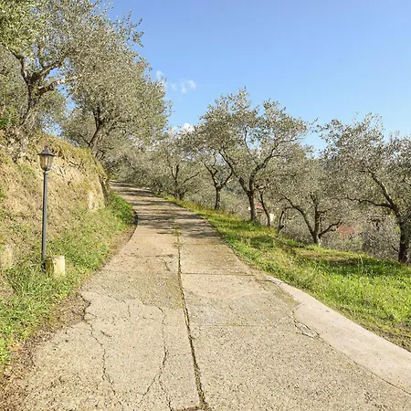 Lavandaia Toscana
